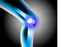 Joint Health